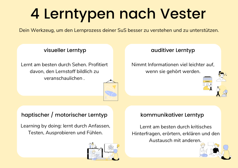 Schaubild der vier Lerntypen nach Vester